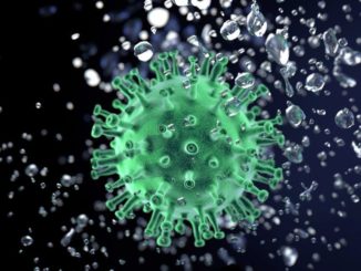Corona-Virus: Sachstand Freitag