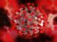Symbolbild Corona Virus: Gerd Altmann / Pixabay