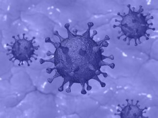 Symbolbild Virus: Pete Linforth / Pixabay