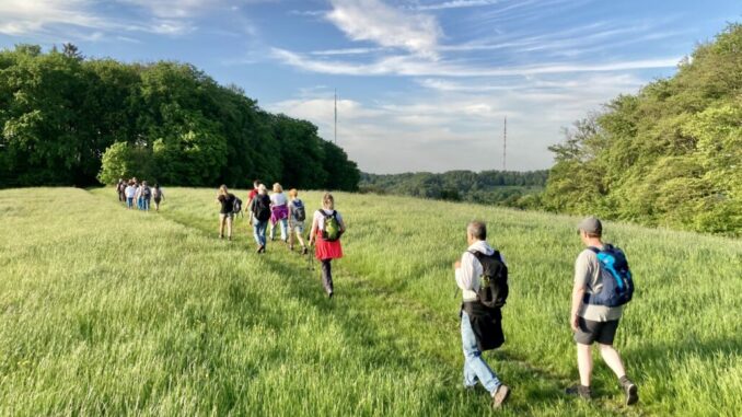 Wandernde Feld_c_Michael Jendrysek (002)
