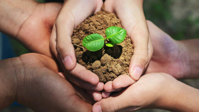 three hand protection and caring small tree on soil. eco environ