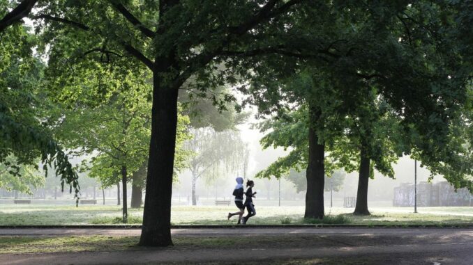 jogging-4211946_1280