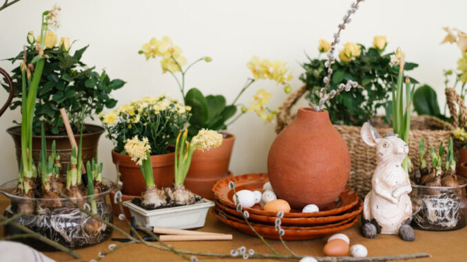 Serving of the Easter holiday table with primroses, eggs and rabbits in natural color