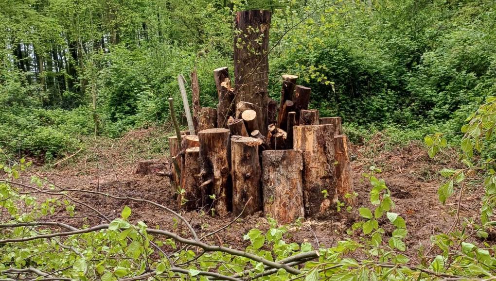 Die-Natur-mit-Muskelkraft-unterst-tzt