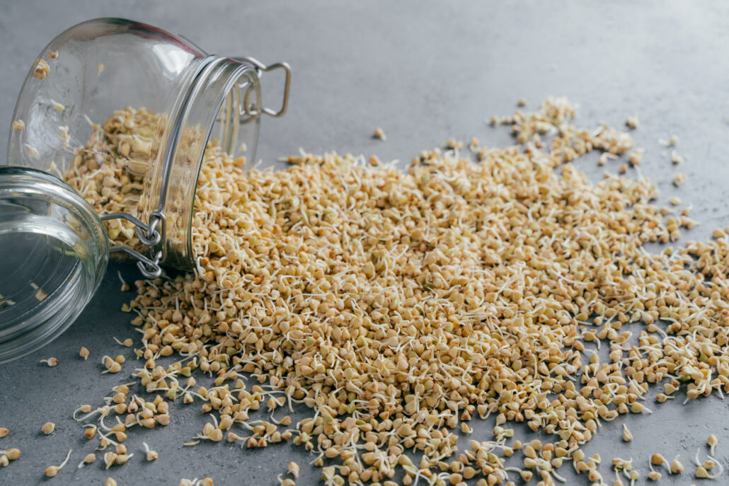 Superfood-Sprossen-Frisch-knackig-und-eine-Brutst-tte-f-r-Bakterien
