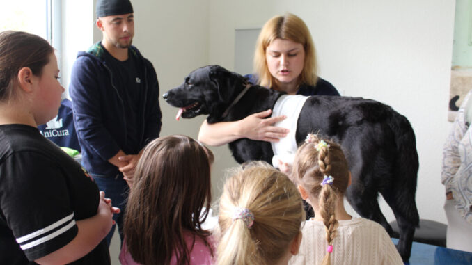 Tierklinik Haan Hund Anton
