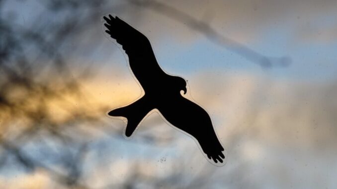 Foto: Hans auf Pixabay