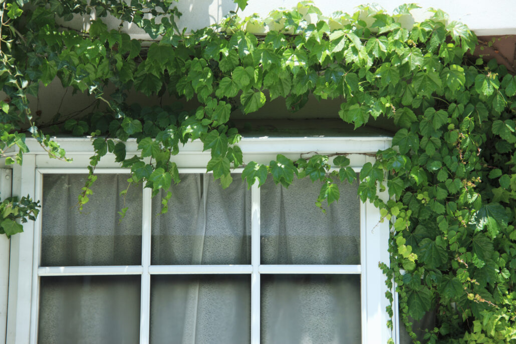 Wussten-Sie-schon-