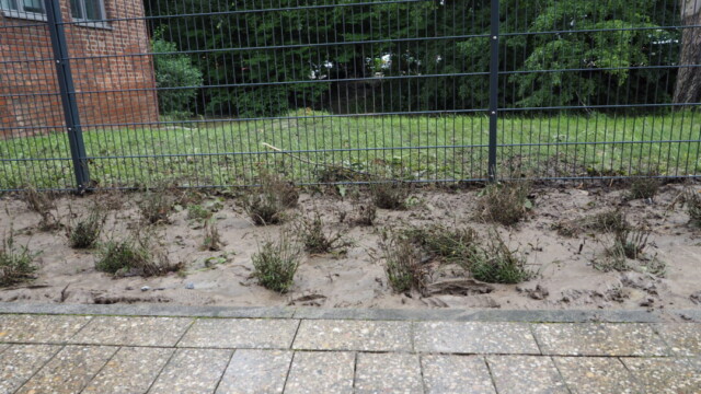 Schlamm überzieht auch das Blumenbeet im Außenbereich. Foto: RG