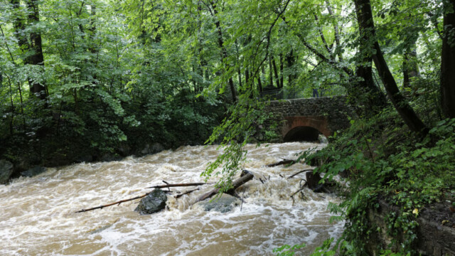 Die Düssel im Neandertal. © Lutz Wulfestieg