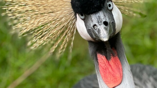 © TSV Jugendzentrum