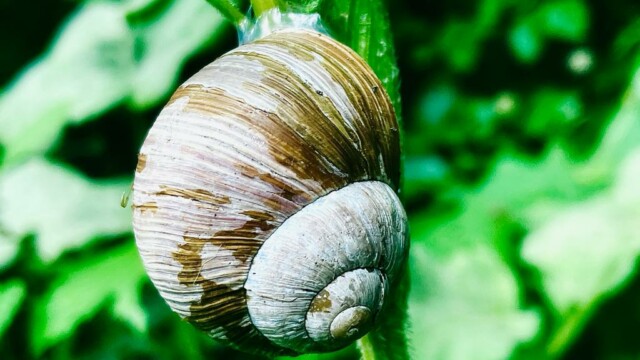 © TSV Jugendzentrum