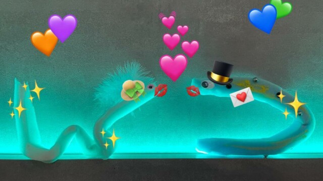 © TSV / Gabriela Klosa