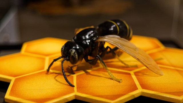 Foto: Lutz Wulfestieg