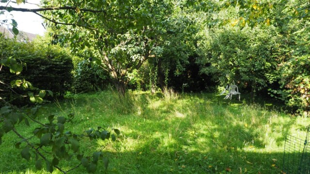 Blick in den Obstgarten. Foto: Ria Garcia