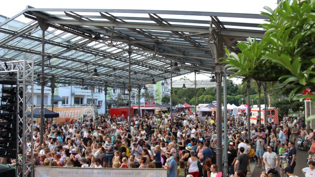 Zum Auftritt von Volker Rosin war die Markthalle gut gefüllt. Foto: Christian Zimmer