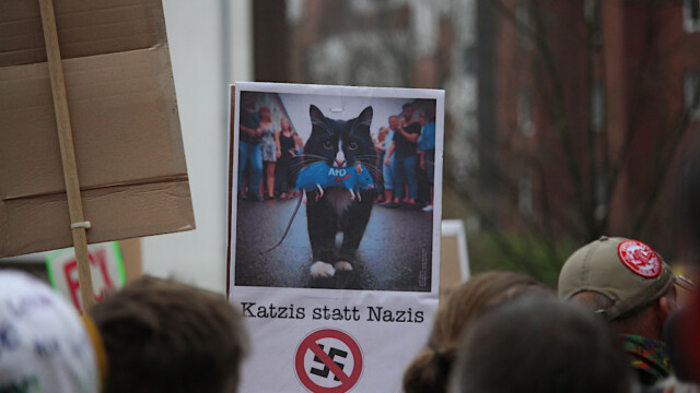 Foto: Christian Zimmer