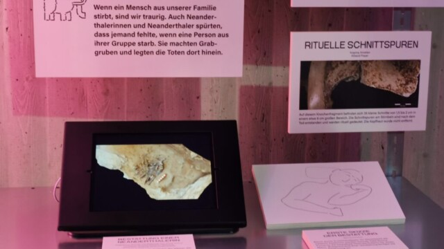 Auch Wissenschaftlerinnen irren. Die Lage dieses Skletts stellte die Wissenschaftlerin in ihrer Zeichnung als Mann dar. In Wirklichkeit war dort eine Frau bestattet. Foto: Ria Garcia