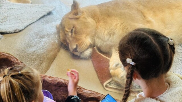 Foto: Gabriela Klosa