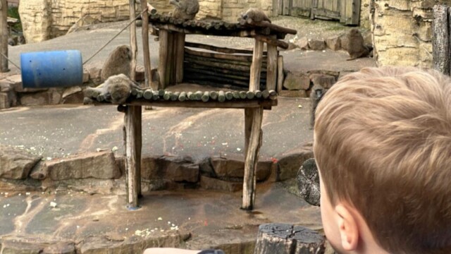 Foto: Gabriela Klosa