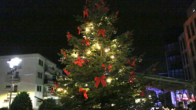 Geschmückter Weihnachtsbaum. Foto: Christian Zimmer